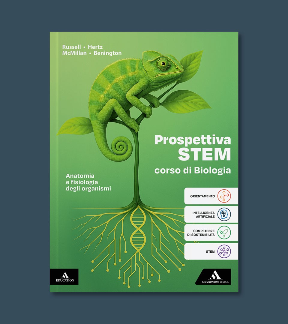 Prospettiva STEM