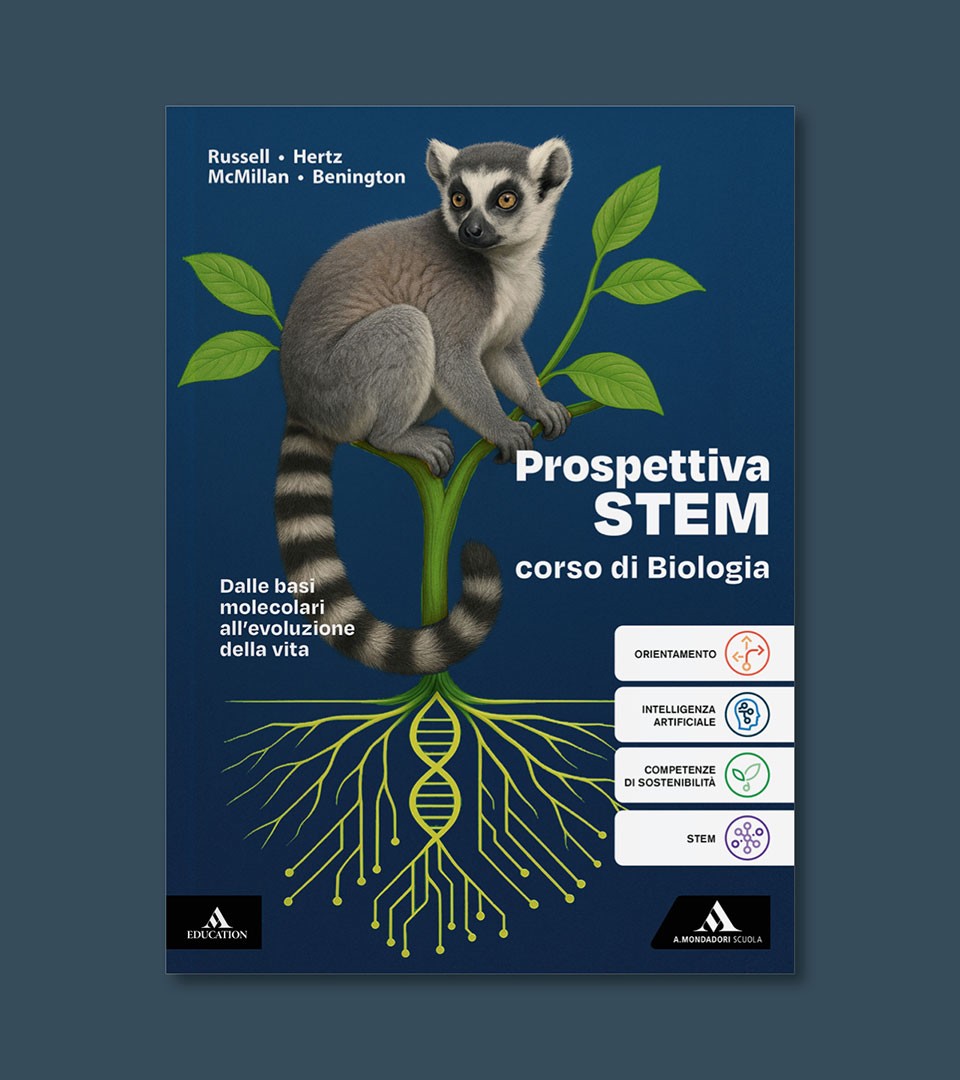 Prospettiva STEM