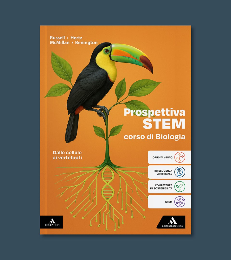 Prospettiva STEM