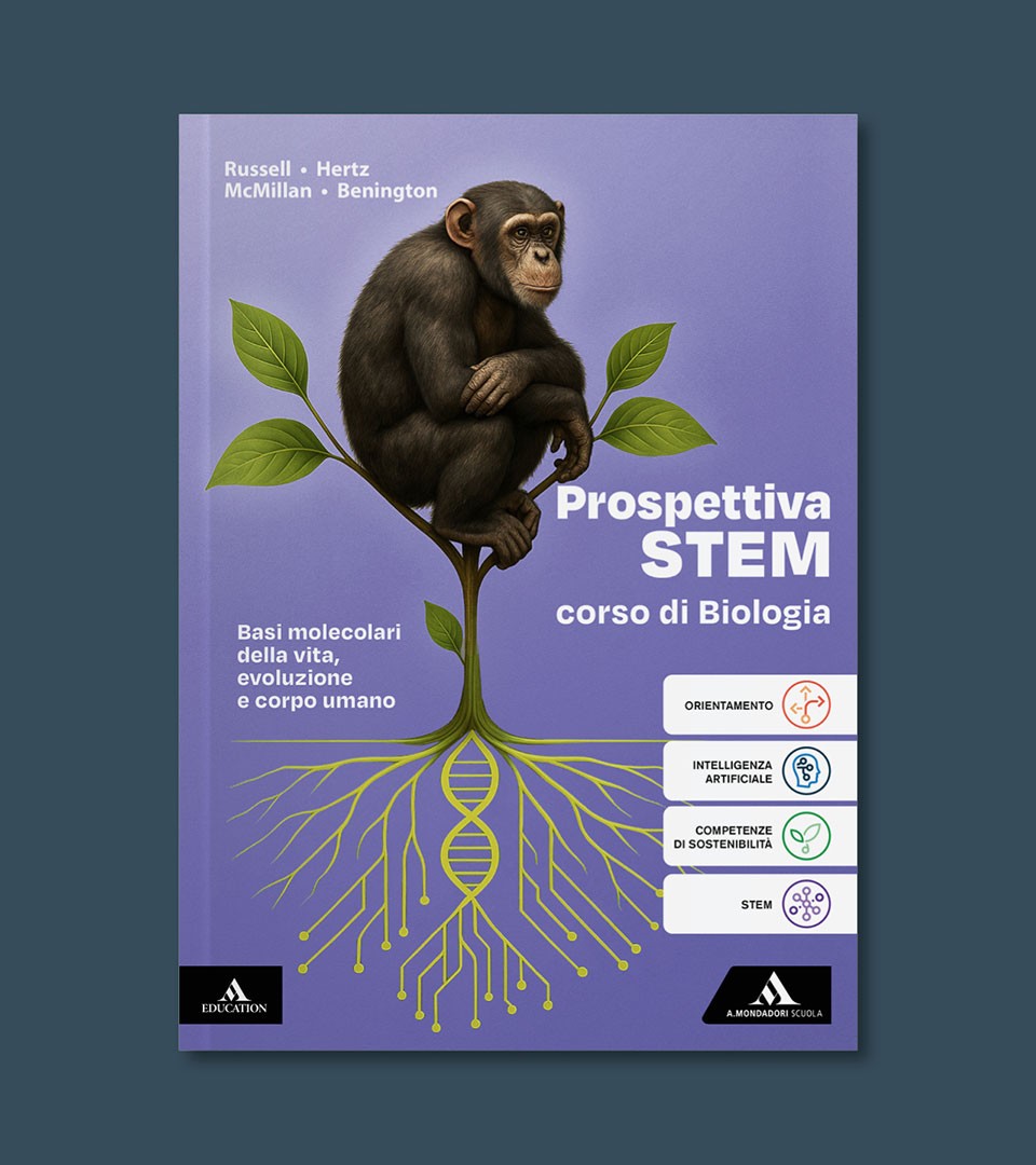 Prospettiva STEM