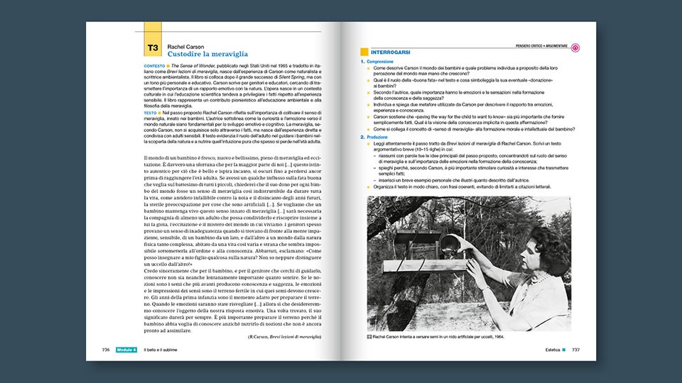 La vita della mente